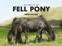 bokomslag Spirit of the Fell Pony