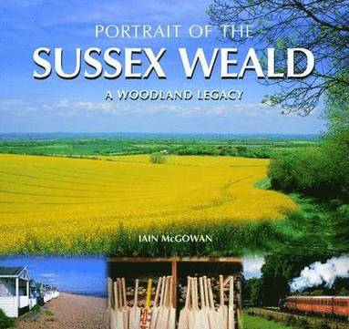 bokomslag Portrait of the Sussex Weald