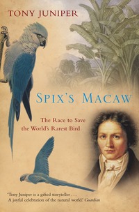 bokomslag Spix's Macaw