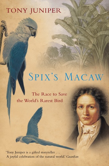 Tony Juniper - Spix’s Macaw, Häftad