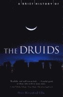 bokomslag Brief History of the Druids