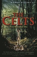 bokomslag Brief History of the Celts