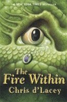bokomslag The Last Dragon Chronicles: The Fire Within