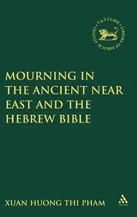 bokomslag Mourning in the Ancient Near East and the Hebrew Bible