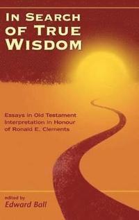 bokomslag In Search of True Wisdom