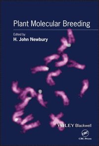 bokomslag Plant Molecular Breeding