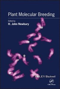 bokomslag Plant Molecular Breeding