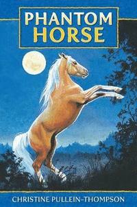 bokomslag Phantom Horse