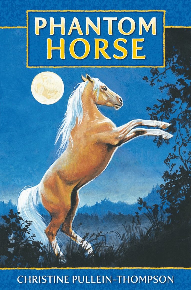 Christine Pullein-Thompson - Phantom Horse, Häftad