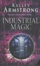 bokomslag Industrial Magic