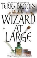 bokomslag Wizard At Large