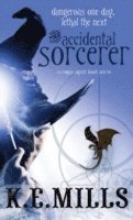 bokomslag Accidental Sorcerer