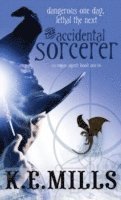 The Accidental Sorcerer 1