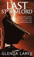 bokomslag The Last Stormlord