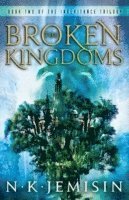 bokomslag The Broken Kingdoms