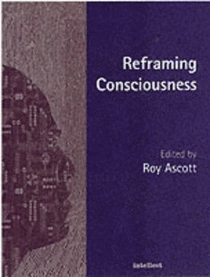 bokomslag Reframing Consciousness