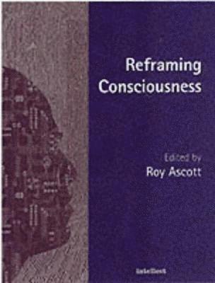 Reframing Consciousness 1