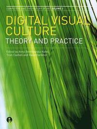 bokomslag Digital Visual Culture