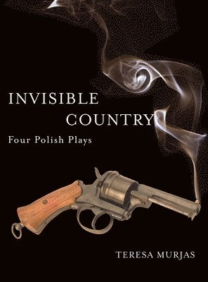 bokomslag Invisible Country