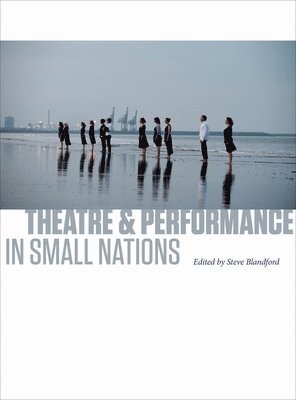 bokomslag Theatre and Performance in Small Nations