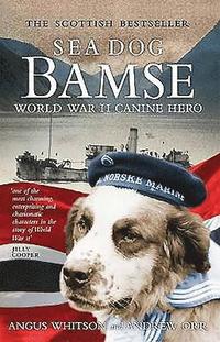 bokomslag Sea Dog Bamse
