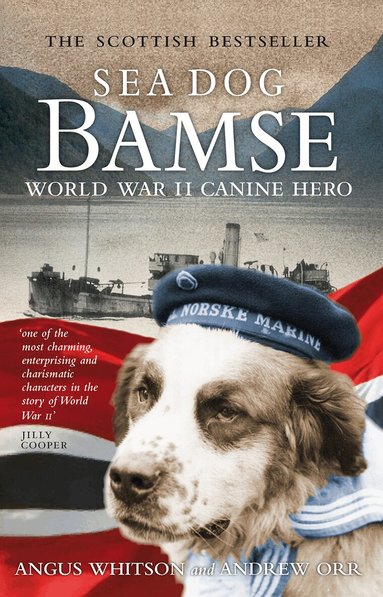 Angus Whitson, Andrew Orr - Sea Dog Bamse, Häftad