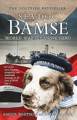 bokomslag Sea Dog Bamse