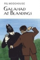 bokomslag Galahad at Blandings