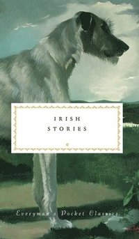 bokomslag Irish Stories