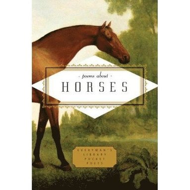 Carmela Ciuraru - Poems about Horses, Inbunden