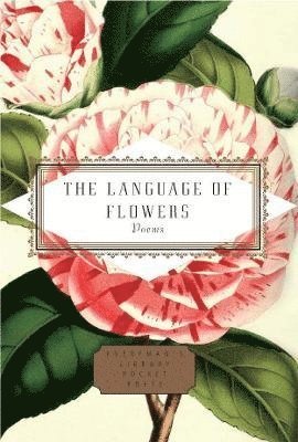 Jane Holloway - Language of Flowers, Inbunden