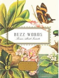 bokomslag Buzz Words