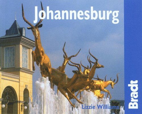 Lizzie Williams - Johannesburg: The Bradt City Guide, Häftad