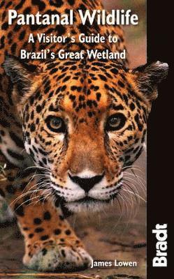 James Lowen - BRADT PANTANAL WILDLIFE, Häftad