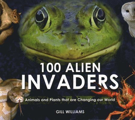 100 Alien Invaders