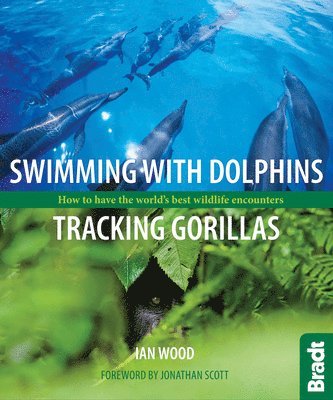 bokomslag Swimming with Dolphins, Tracking Gorillas