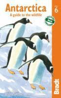 bokomslag Antarctica: A Guide to the Wildlife