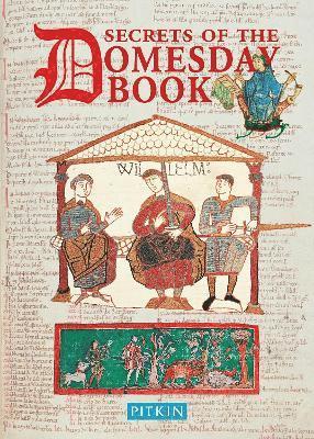 bokomslag Secrets of the Domesday Book