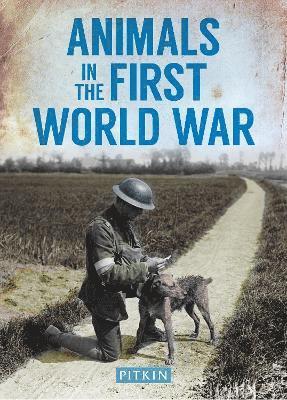 bokomslag Animals in the First World War