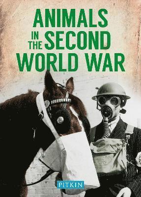 bokomslag Animals in the Second World War