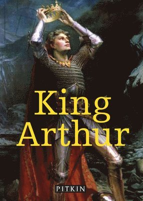 bokomslag King Arthur