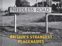 bokomslag Britain's Strangest Placenames