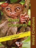 Weird Creatures 1
