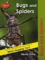 Bugs and Spiders 1