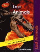 Lost Animals 1