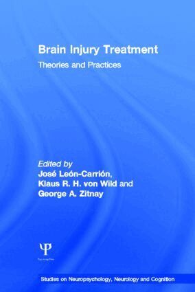 Jose Leon-Carrion, Klaus R. H. von Wild, George A. Zitnay - Brain Injury Treatment, Inbunden