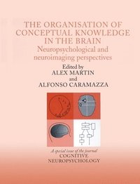 bokomslag The Organisation of Conceptual Knowledge in the Brain: Neuropsychological and Neuroimaging Perspectives