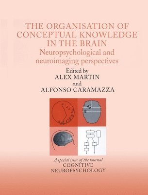 The Organisation of Conceptual Knowledge in the Brain: Neuropsychological and Neuroimaging Perspectives 1