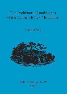 bokomslag Prehistoric landscapes of the eastern Black Mountains
