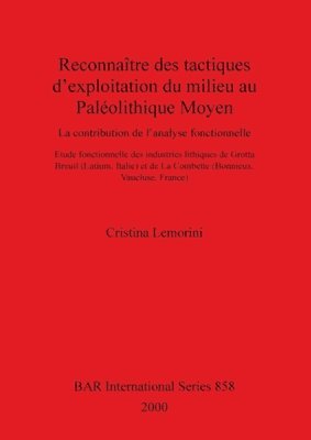 Reconnaître des tactiques d'exploitation du milieu au Paléolithique Moyen
